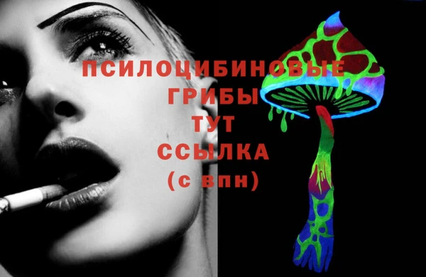индика Остров