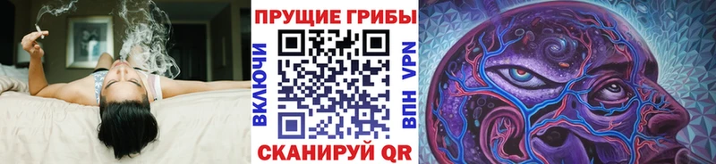 Псилоцибиновые грибы Cubensis  Байкальск 