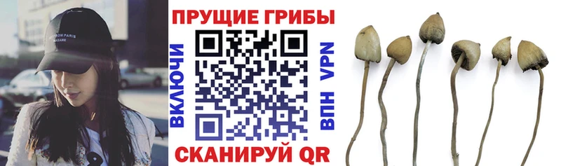 Псилоцибиновые грибы Magic Shrooms Байкальск