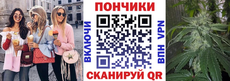 кракен tor  сколько стоит  Байкальск  Каннабис индика 